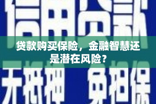 临邑贷款购买保险，金融智慧还是潜在风险？