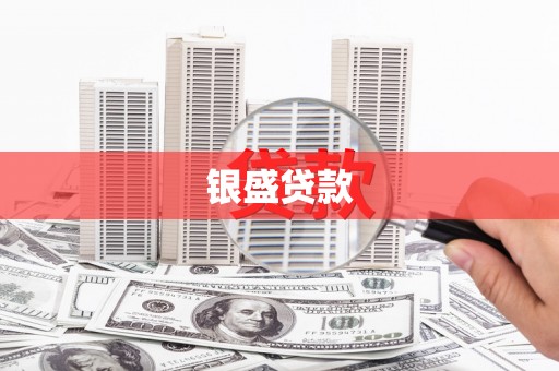 临邑银盛贷款