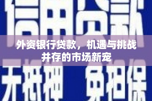 临邑外资银行贷款，机遇与挑战并存的市场新宠