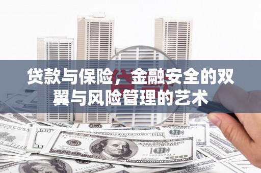 临邑贷款与保险，金融安全的双翼与风险管理的艺术