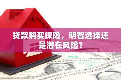 临邑贷款购买保险，明智选择还是潜在风险？