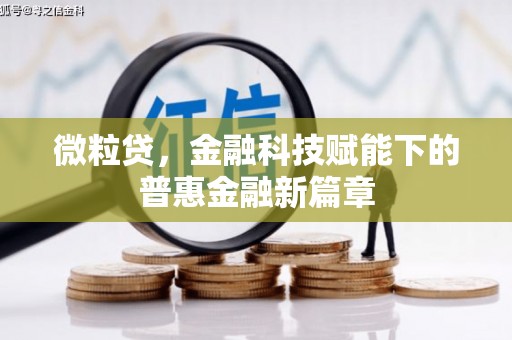 临邑微粒贷，金融科技赋能下的普惠金融新篇章
