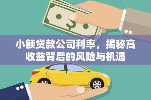 临邑小额贷款公司利率，揭秘高收益背后的风险与机遇
