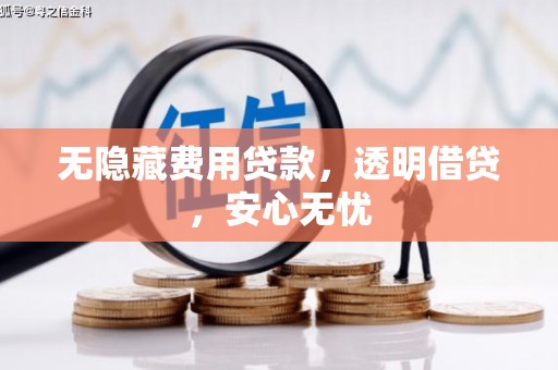 临邑无隐藏费用贷款，透明借贷，安心无忧