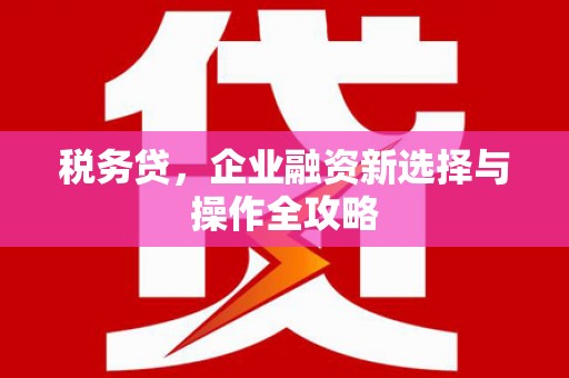 临邑税务贷，企业融资新选择与操作全攻略