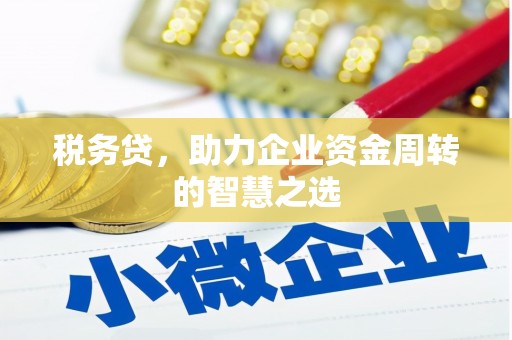 临邑税务贷，助力企业资金周转的智慧之选