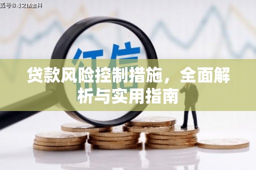 临邑贷款风险控制措施，全面解析与实用指南