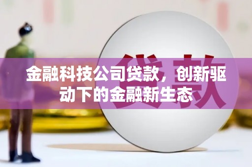 临邑金融科技公司贷款，创新驱动下的金融新生态