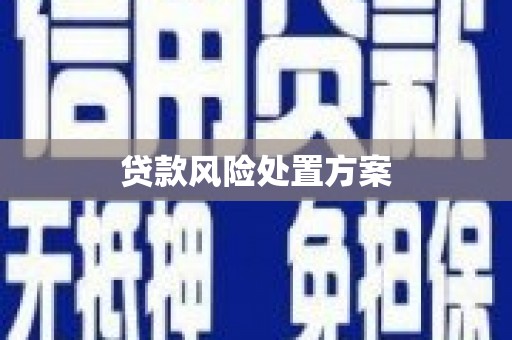 临邑贷款风险处置方案