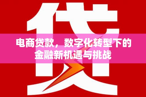 临邑电商贷款，数字化转型下的金融新机遇与挑战
