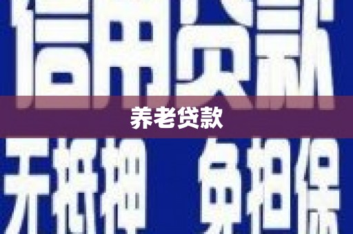 临邑养老贷款