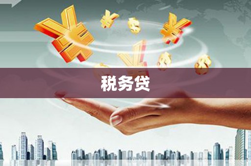 临邑税务贷