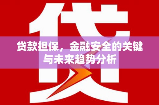 临邑贷款担保，金融安全的关键与未来趋势分析