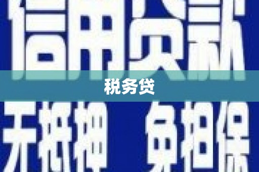 临邑税务贷