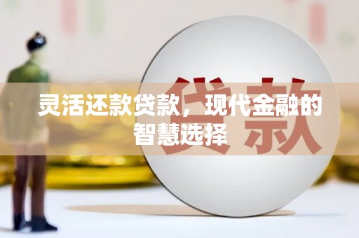 临邑灵活还款贷款，现代金融的智慧选择