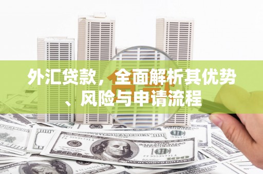 临邑外汇贷款，全面解析其优势、风险与申请流程