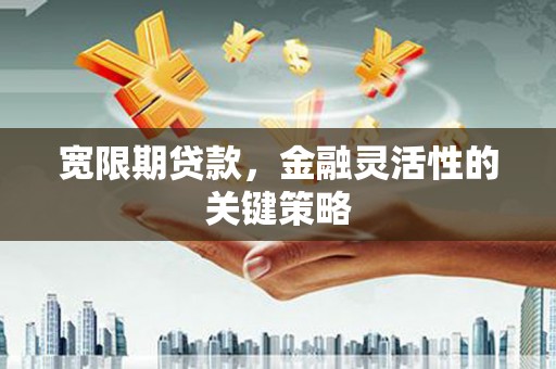 临邑宽限期贷款，金融灵活性的关键策略