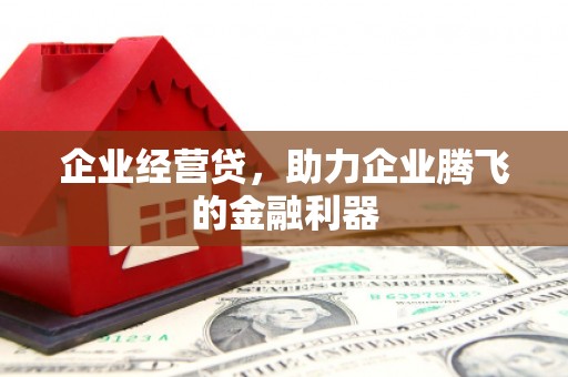 临邑企业经营贷，助力企业腾飞的金融利器