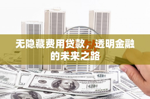 临邑无隐藏费用贷款，透明金融的未来之路