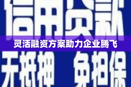 临邑灵活融资方案助力企业腾飞