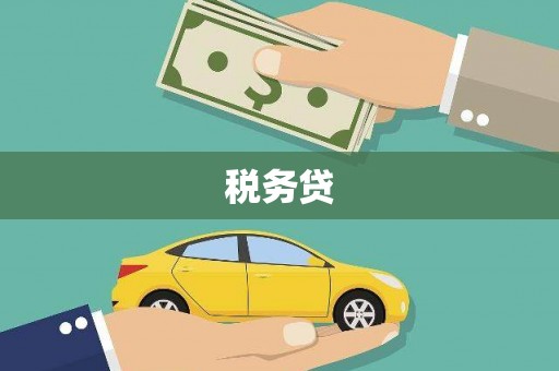 临邑税务贷