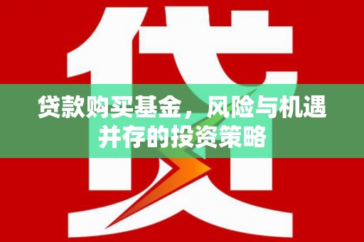 临邑贷款购买基金，风险与机遇并存的投资策略