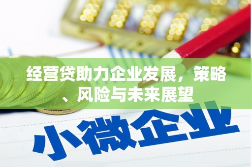 临邑经营贷助力企业发展，策略、风险与未来展望
