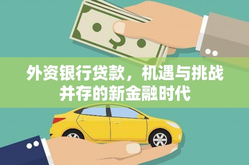 临邑外资银行贷款，机遇与挑战并存的新金融时代