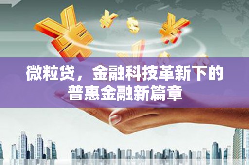 临邑微粒贷，金融科技革新下的普惠金融新篇章