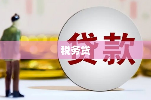 临邑税务贷