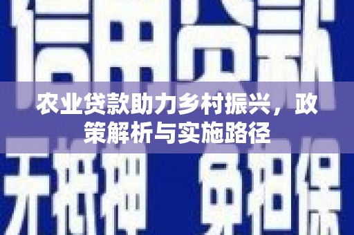 临邑农业贷款助力乡村振兴，政策解析与实施路径
