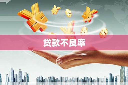 临邑贷款不良率