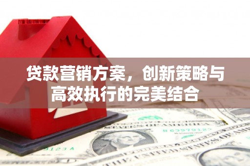 临邑贷款营销方案，创新策略与高效执行的完美结合