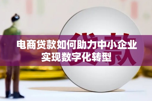 临邑电商贷款如何助力中小企业实现数字化转型