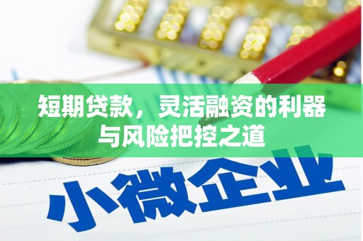 临邑短期贷款，灵活融资的利器与风险把控之道