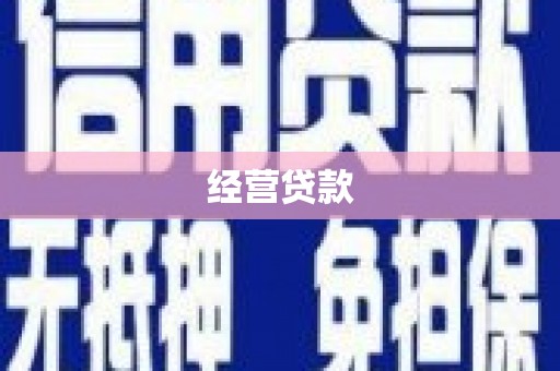 临邑经营贷款