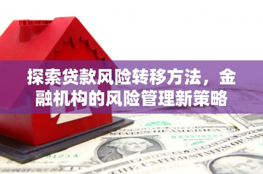 临邑探索贷款风险转移方法，金融机构的风险管理新策略