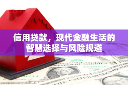 临邑信用贷款，现代金融生活的智慧选择与风险规避