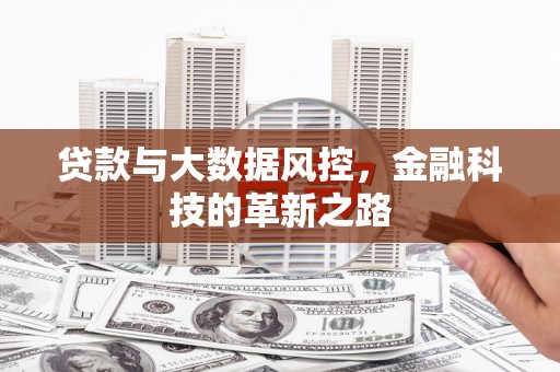 临邑贷款与大数据风控，金融科技的革新之路