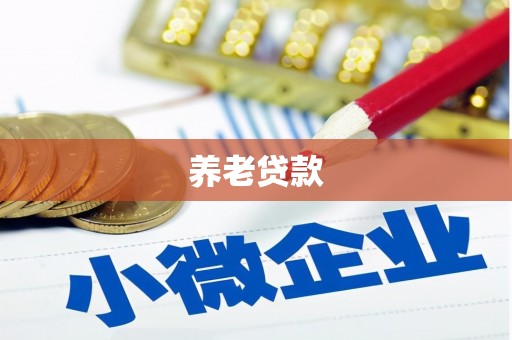 临邑养老贷款