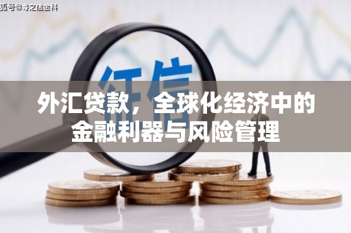 临邑外汇贷款，全球化经济中的金融利器与风险管理