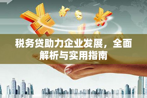 临邑税务贷助力企业发展，全面解析与实用指南