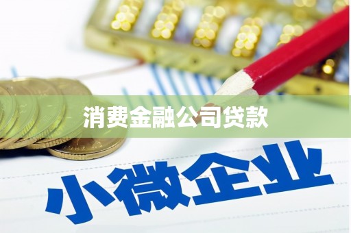 临邑消费金融公司贷款