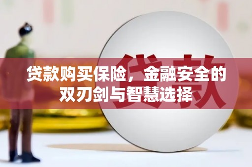 临邑贷款购买保险，金融安全的双刃剑与智慧选择