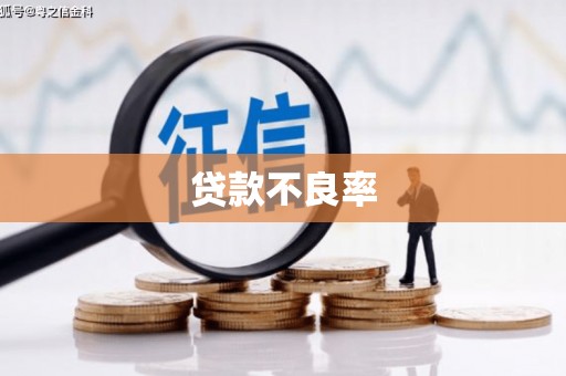 临邑贷款不良率