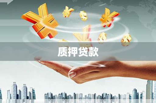 临邑质押贷款