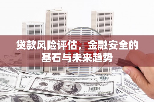 临邑贷款风险评估，金融安全的基石与未来趋势