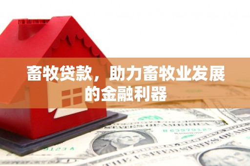 临邑畜牧贷款，助力畜牧业发展的金融利器