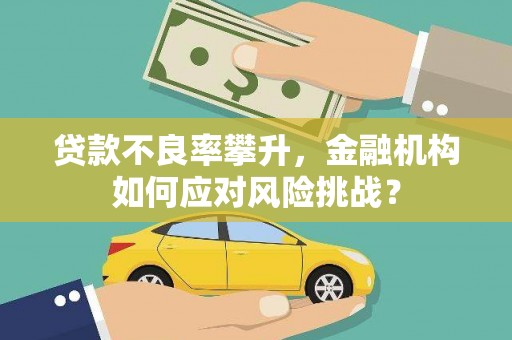 临邑贷款不良率攀升，金融机构如何应对风险挑战？