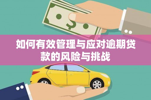 临邑如何有效管理与应对逾期贷款的风险与挑战